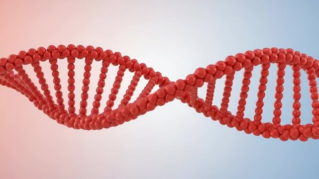 A detailed 3d render of a red dna double helix structure on gradient background