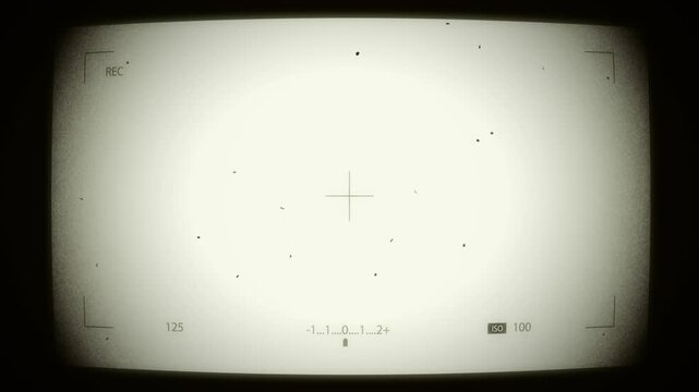 Retro Camera Viewfinder Overlay with Dust Scratch Effect