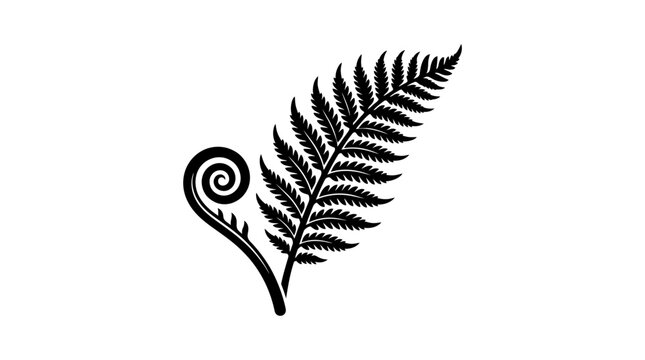Black Fern Frond Silhouette with Unfurling Koru Spiral on White Background