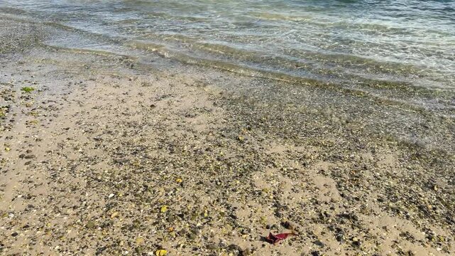 Close up shot of crystal clear shallow Caribbean water gently washing over golden sand on a tropical beach revealing the sandy bottom beneath the transparent water. Shot on iPhone 17 Pro.