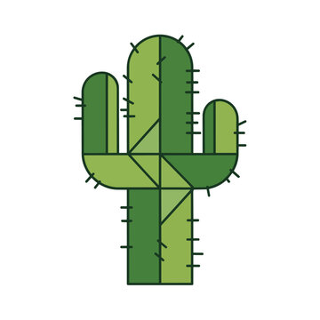 Green Cactus Plant Closeup View.