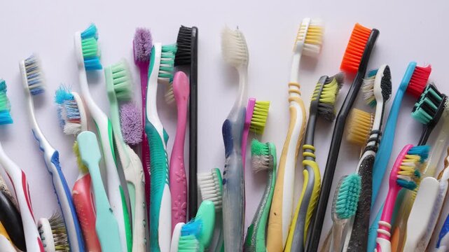 Used Toothbrushes with Bacteria for Dental Hygiene Education