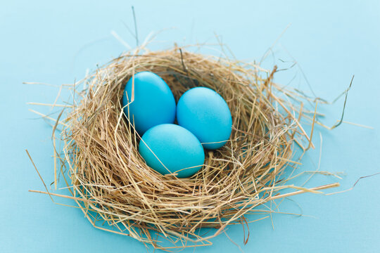 Coloful Easter eggs in nest, studio shot