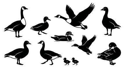 Fototapeta premium Goose silhouette vector set featuring eight adult geese and two goslings in standing, walking, swimming, and flying poses, bird illustration inspiration