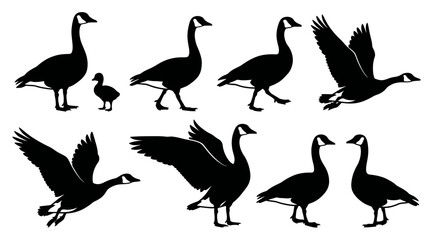 Obraz premium Goose silhouette vector set featuring seven geese and one gosling in standing, walking, and flying poses, bird wildlife illustration inspiration