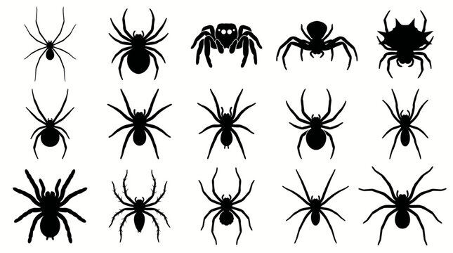 Spider silhouette vector set featuring sixteen diverse species designs with varied body shapes, leg lengths, web details, creepy insect illustration inspiration
