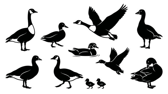 Goose silhouette vector set featuring eight adult geese and two goslings in standing, walking, swimming, and flying poses, bird illustration inspiration
