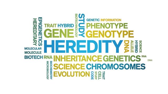 Heredity animated word cloud-text design animation tag kinetic typography seamless loop.