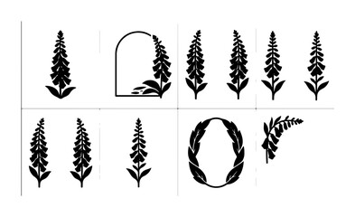 Elegant Floral Vector Elements, Botanical Foxglove Illustrations, Decorative Plant Sprigs, Minimalist Silhouette Designs for Invitations and Branding © Shakil