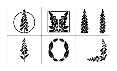 Digitalis Foxglove Botanical Icons, Vector Silhouettes of Medicinal Plants, Floral Decorative Elements for Design © Farzana