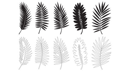 Palm branch silhouettes and line art icons set for summer tropical design and decorations. © Sara Studio