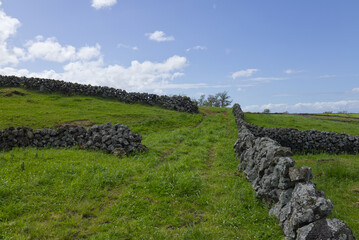 Terceira island volcanic stone walls dividing green pastures © ANTONIO