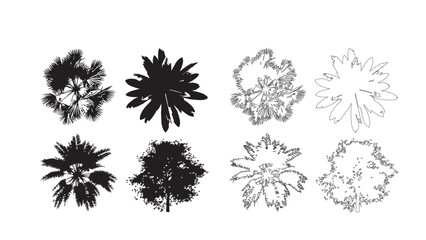 Set of black silhouette trees, palm and bush, top view element for architecture plan. © Sara Studio