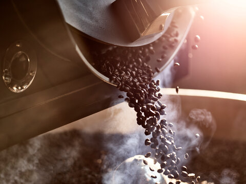 Coffee beans after roasting