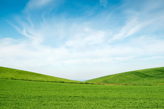 Germany, Baden Wuerttemberg, Constance district, Fields and hills