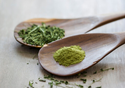 Moringa oleifera, powder and chopped leaves on wooden spoons