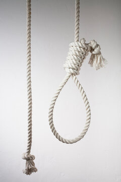 Hangman's noose, close up