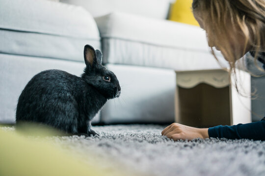 Girl with hare in living room