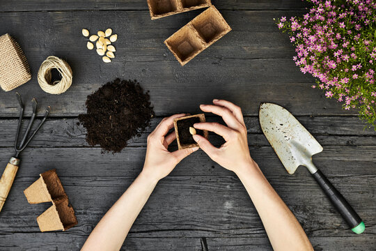 Woman's hands planting