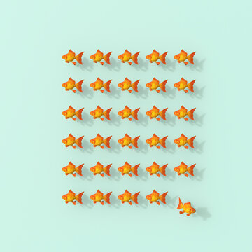3D rendering, Rows of goldfish on green backgroung with fish leaving the group