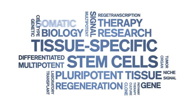 tissue-specific stem cells animated word cloud-text design animation tag kinetic typography seamless loop.