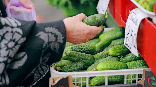 Elderly woman places fresh cucumbers into plastic bag at Riga Central Market.