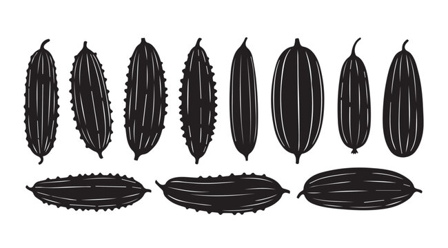 Collection of stylized gourds in a linear arrangement with varied textures and shapes
