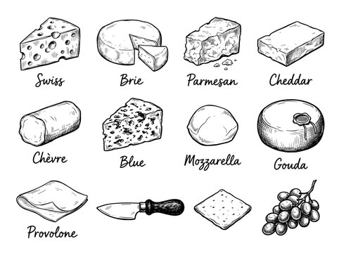 Hand draw cheese line icon set with swiss brie parmesan cheddar and gouda for restaurant menu design