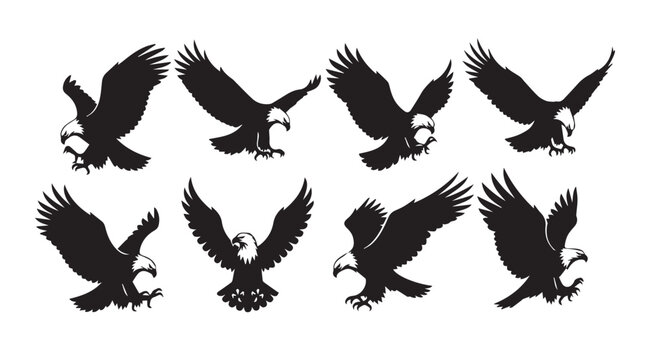 Eagle silhouettes in various dynamic flight poses against a white background