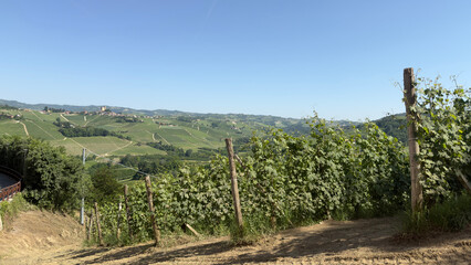 Fototapeta premium Rolling Vineyard Hills in the Italian Countryside Under Clear Blue Sky