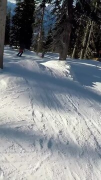 Vertical video: Camera following skier in pink jacket skiing groomed slope past trees, copy space
