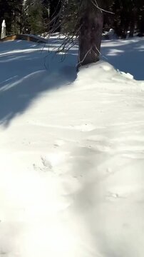 Vertical video: Camera following groomed run after orange-jacket skier carving, aiming box rail