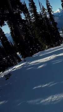 Vertical video: Following cam descending run after skier launching off lip, showing skis and trees