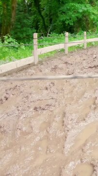 Vertical video: Stepping adult leg sinking into woodland track, splashing mud, striped socks, fence