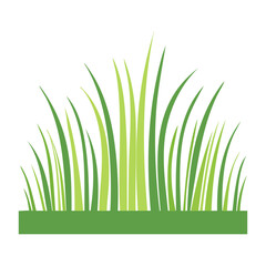 Fototapeta premium Green grass in flat design style