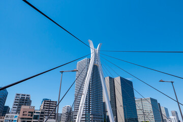 Obraz premium 青空と斜張橋の柱とケーブル 東京都中央区 中央大橋