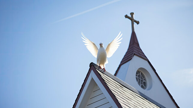 White dove with spread wings perched on a church roof against blue sky