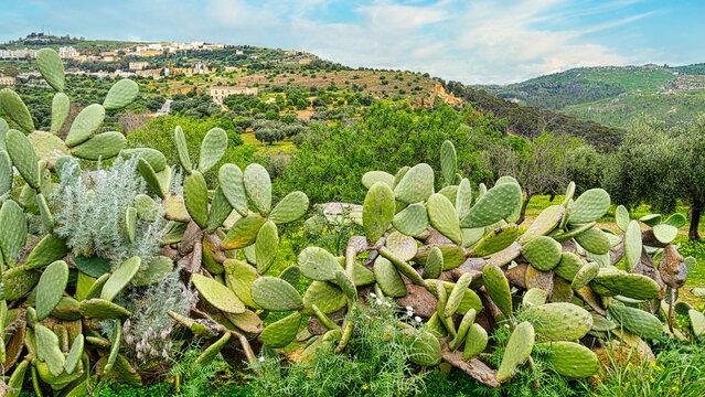 Ausblick vom Hochplateau der Tempel in Agrigent 
