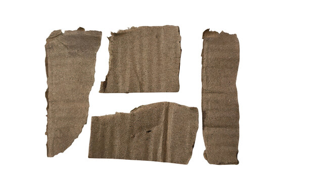 Dried brown papyrus scroll with hieroglyphic symbol