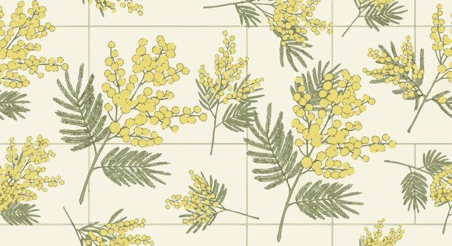 Delicate yellow mimosa blossoms with feathery green leaves on a soft grid background