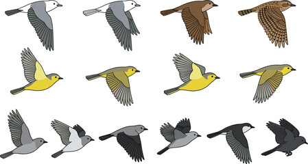 Obraz premium Flying birds collection featuring simple cartoon vector illustrations of small colorful songbirds in flight