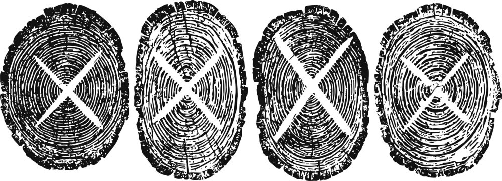 wood tree rings cross section engraving set vintage tree trunk age growth ring textures detailed black and white illustrations