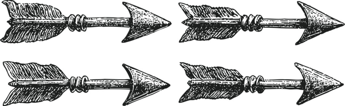 hand drawn vintage arrows set four detailed feathered arrow designs ink illustration