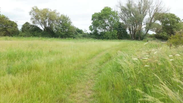 Castor Hanglands, Cambridgeshire, England, UK - June 01 2026: Walking point of view with gimbal at Castor Hanglands. Walking around the corner at the edge of a field right by the River Nene
