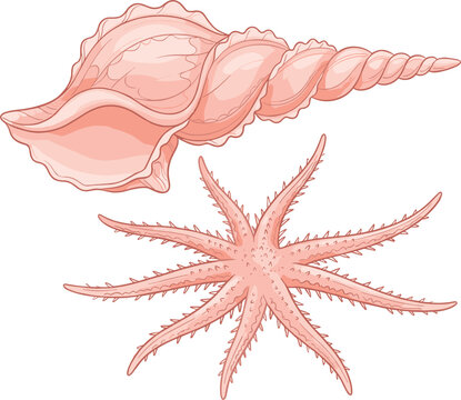Cute pink conch shell and multi armed starfish icon set featuring flat cartoon vector illustration