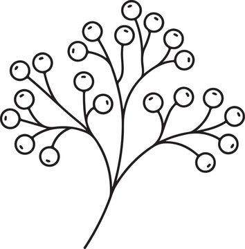 Simple hand drawn line art illustration featuring a delicate plant branch with round berries on a plain white background surface