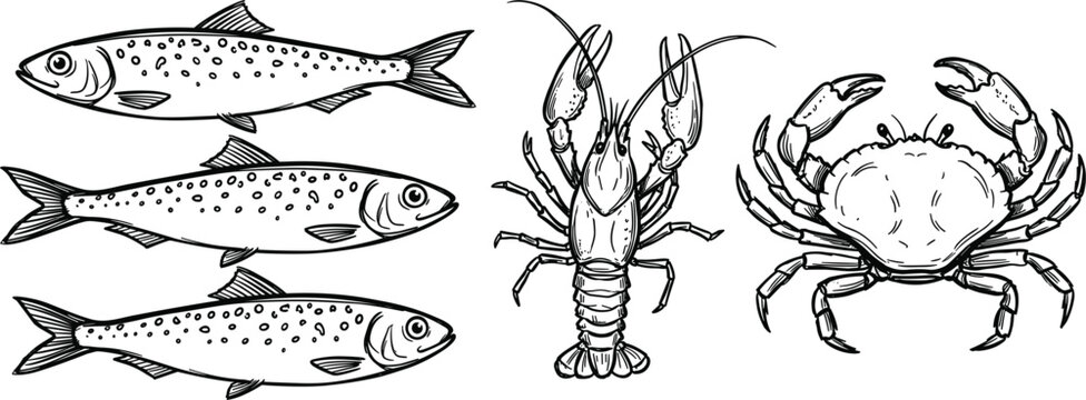 Vintage hand drawn monochrome seafood set featuring detailed sketch icons of sardines crayfish and crab vector illustration