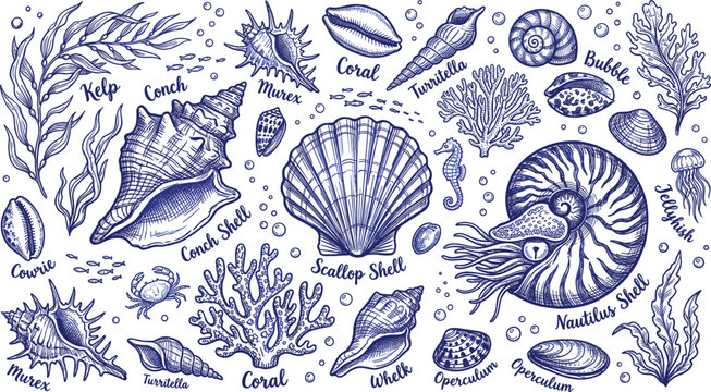 Vintage blue marine life ink elements set isolated on white background vector illustration