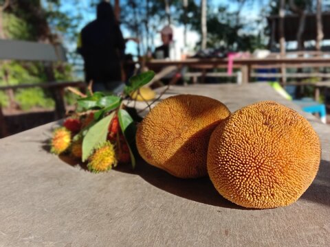 Artocarpus fruit or Artocarpus odoratissimus (Buah Tarap), a tropical fruit native to Borneo Island in South East Asia. Photo captured great details of the unique fruit exterior.