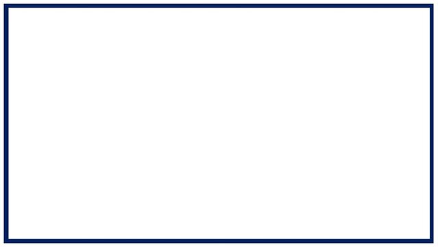 navy blue frame